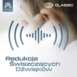 Owiewki na szyby samochodowe z serii Satuna do MAN TGX od 1999 - obrazek 6